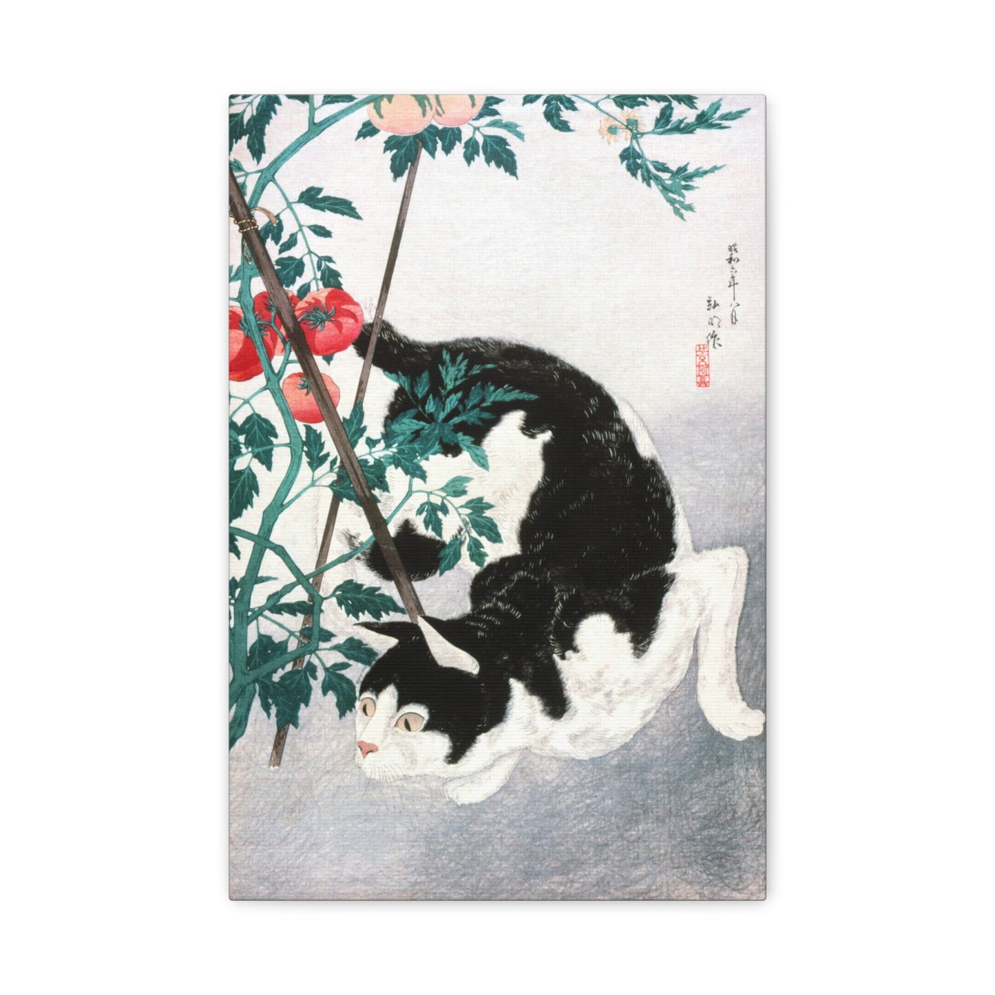 Cat with Tomato Plant by Hiroaki Takahashi Canvas Print