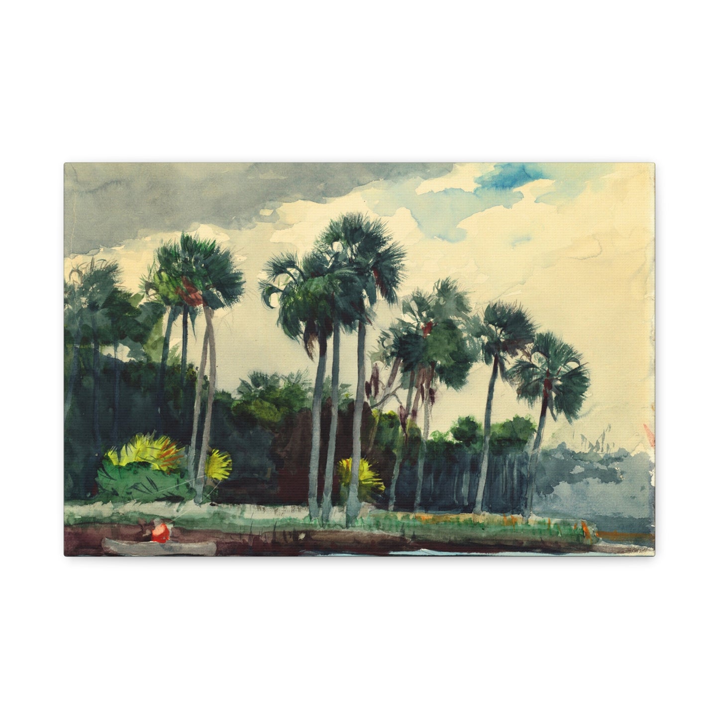 Red Shirt, Homosassa, Florida by Winslow Homer Canvas Print