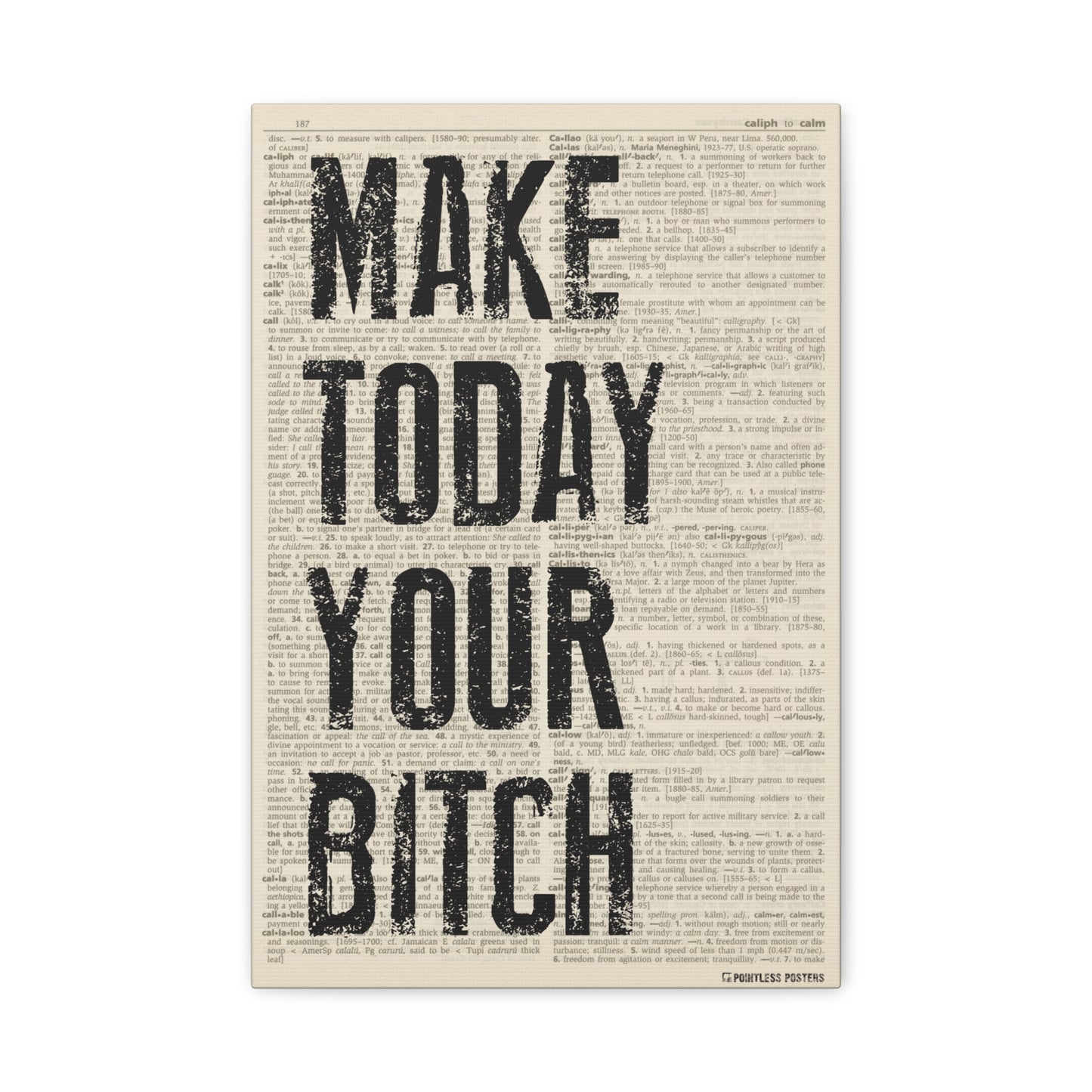 Make Today Your Bitch (dictionary background) Canvas Wall Art