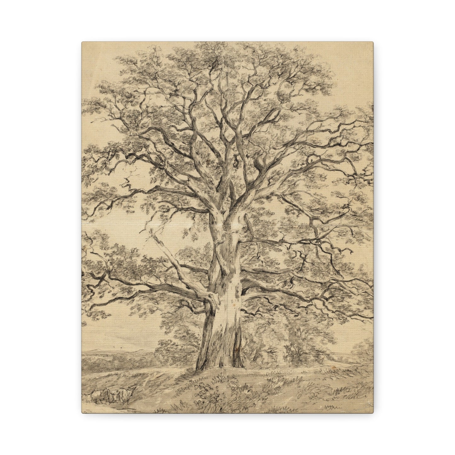 A Great Oak Tree by John Constable Canvas Print