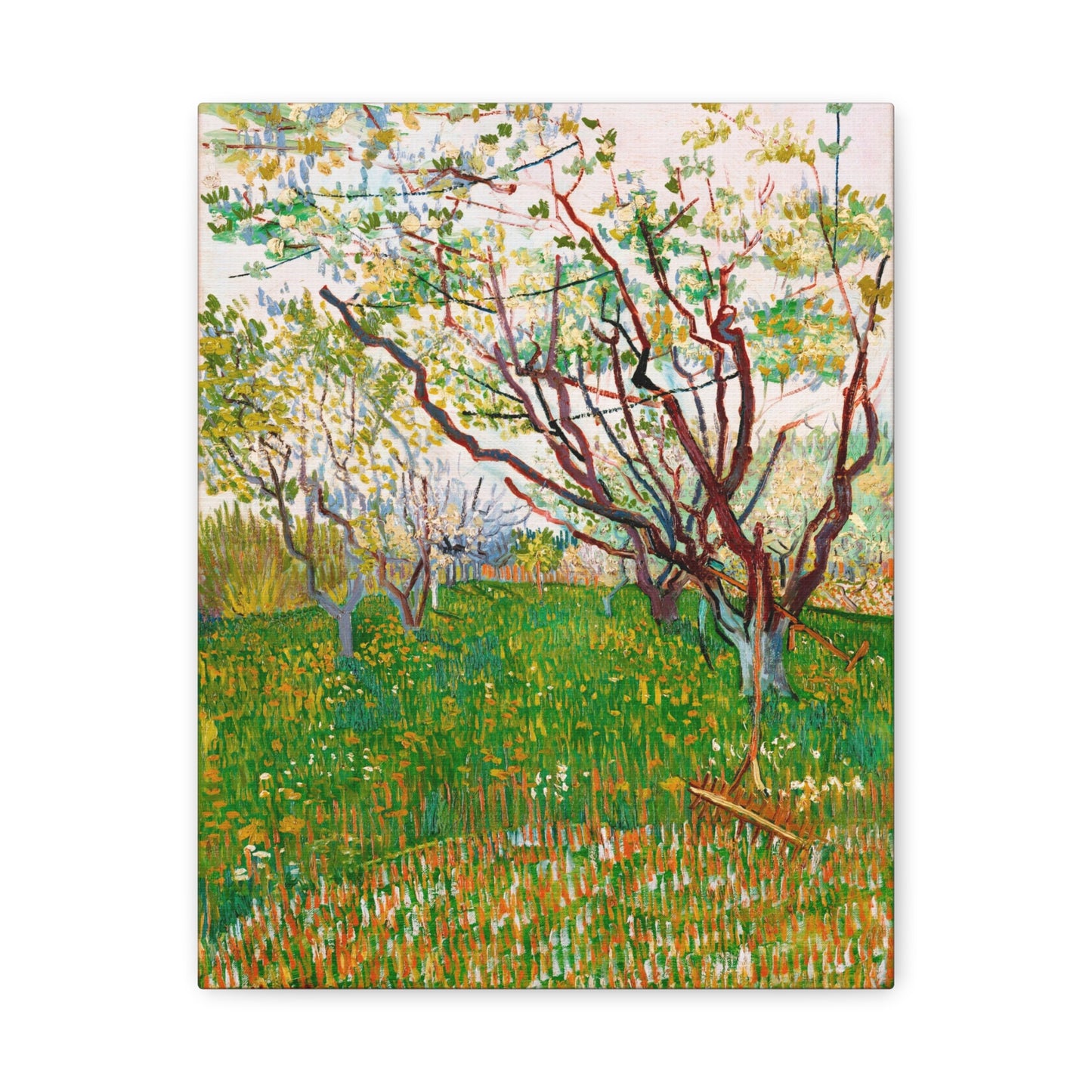 The Flowering Orchard by Vincent van Gogh Canvas Print