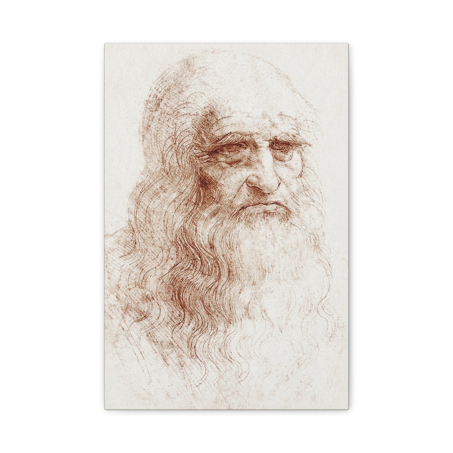 Self-portrait (1512) by Leonardo da Vinci Canvas Print