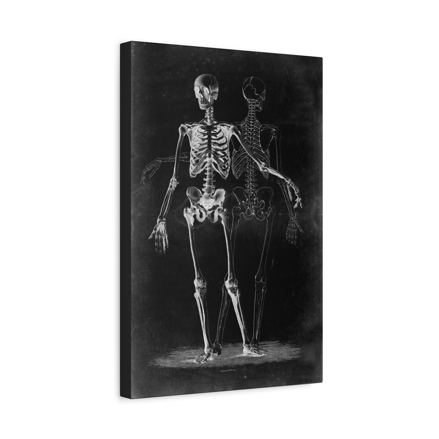Two Skeletons On Black Gothic Canvas Wall Art