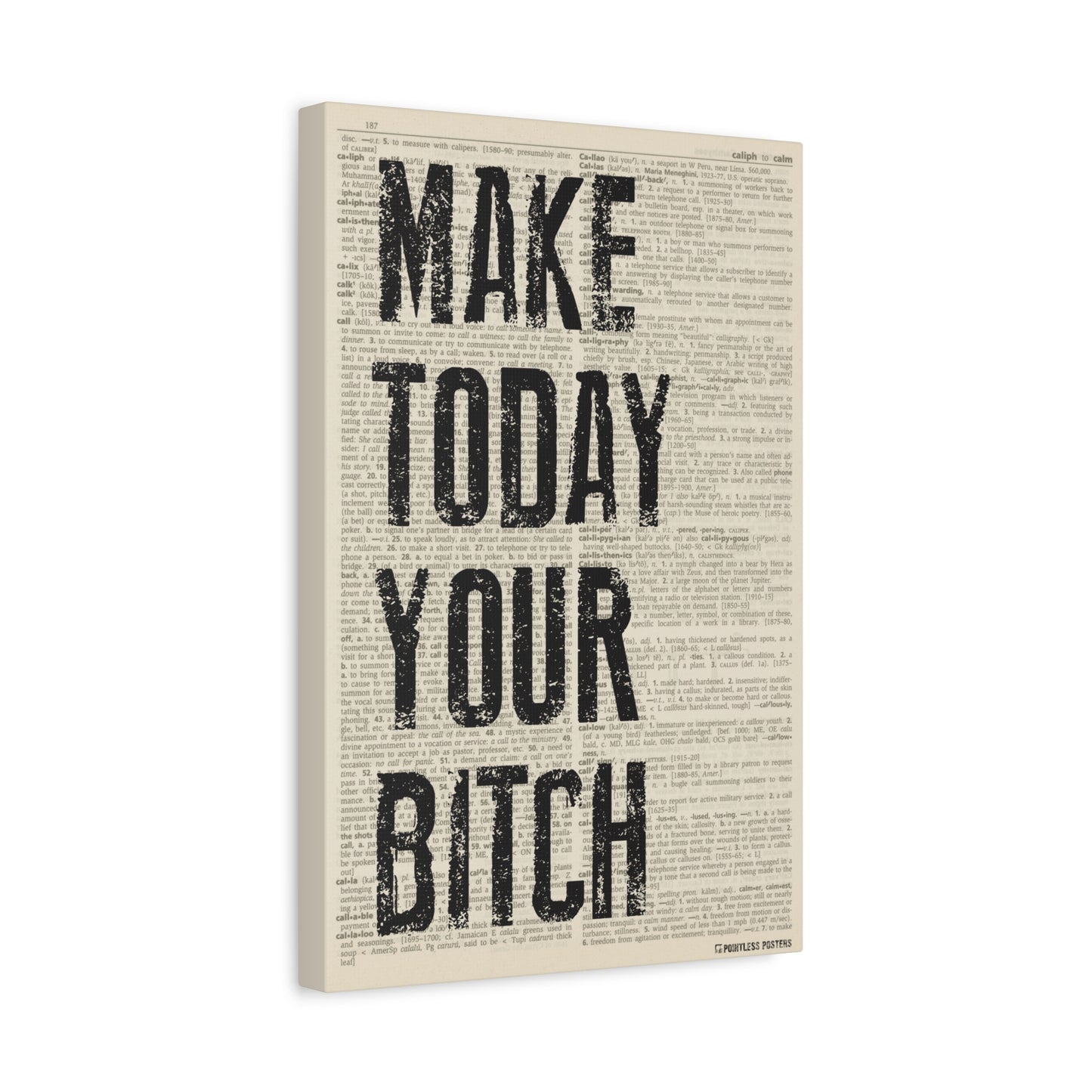 Make Today Your Bitch (dictionary background) Canvas Wall Art