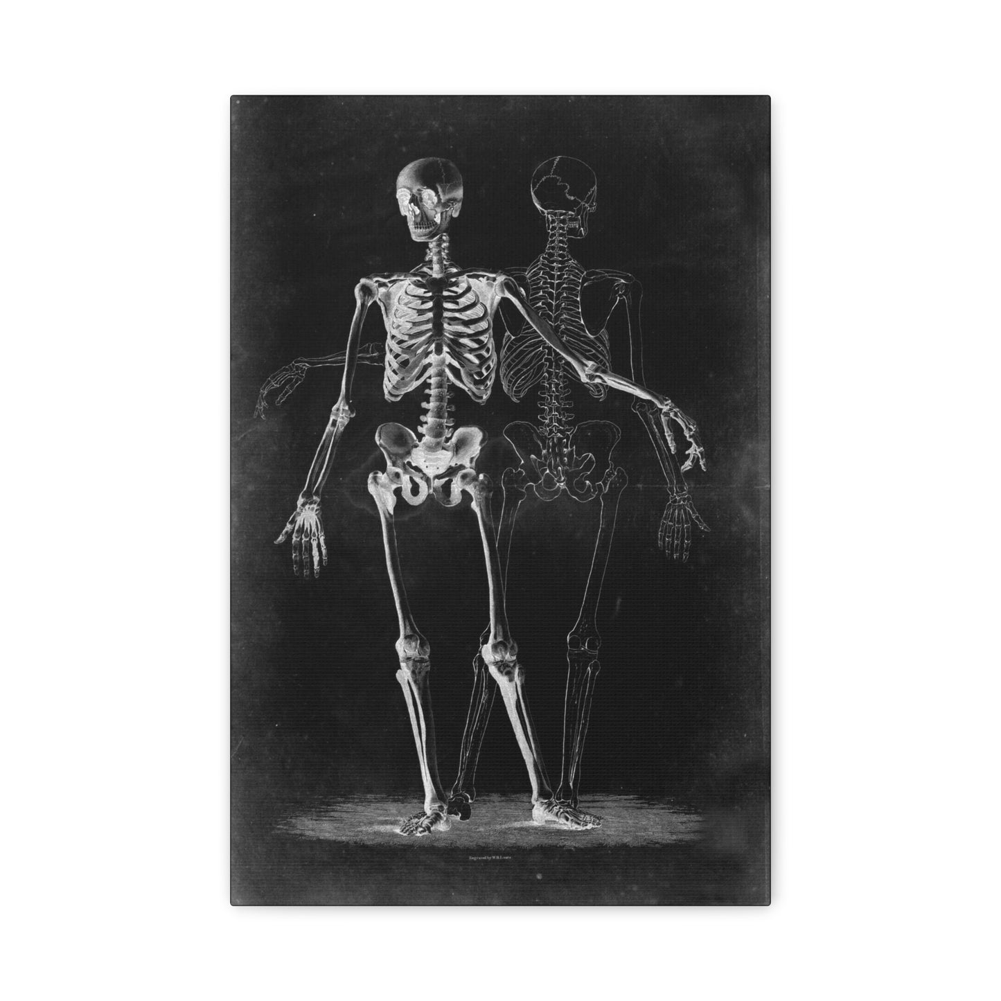 Two Skeletons On Black Gothic Canvas Wall Art