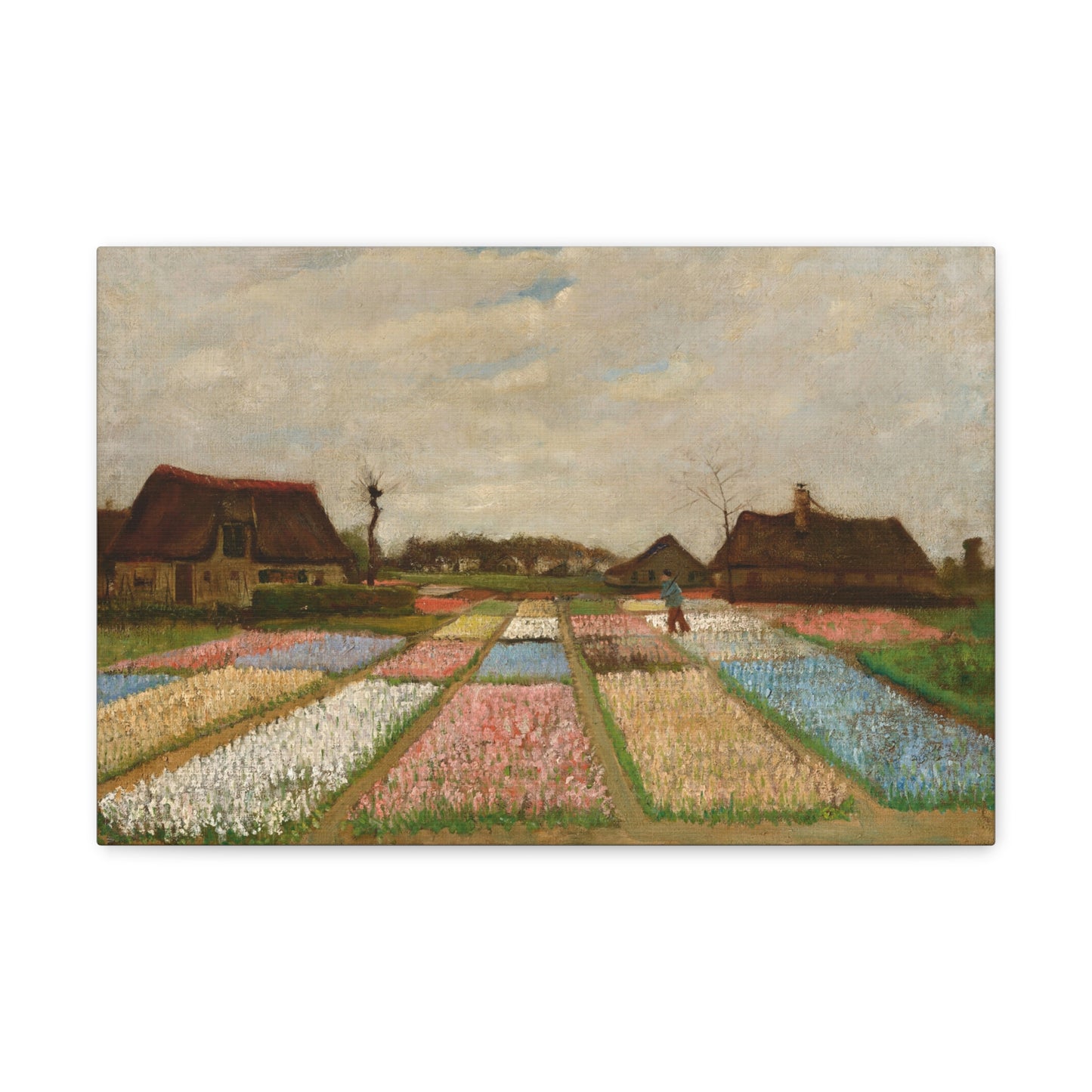 Flower Beds in Holland by Vincent van Gogh Canvas Print