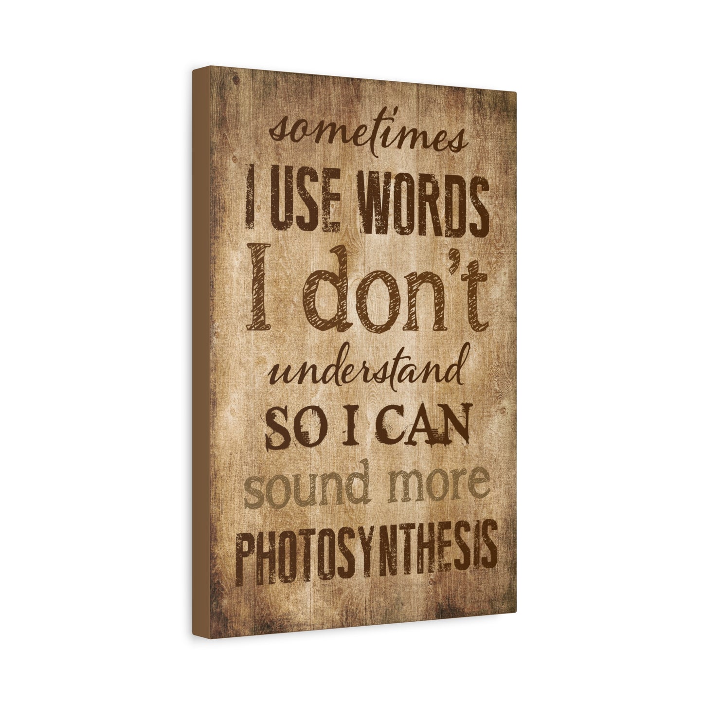 Sometimes I Use Words I Don't Understand Canvas Wall Art