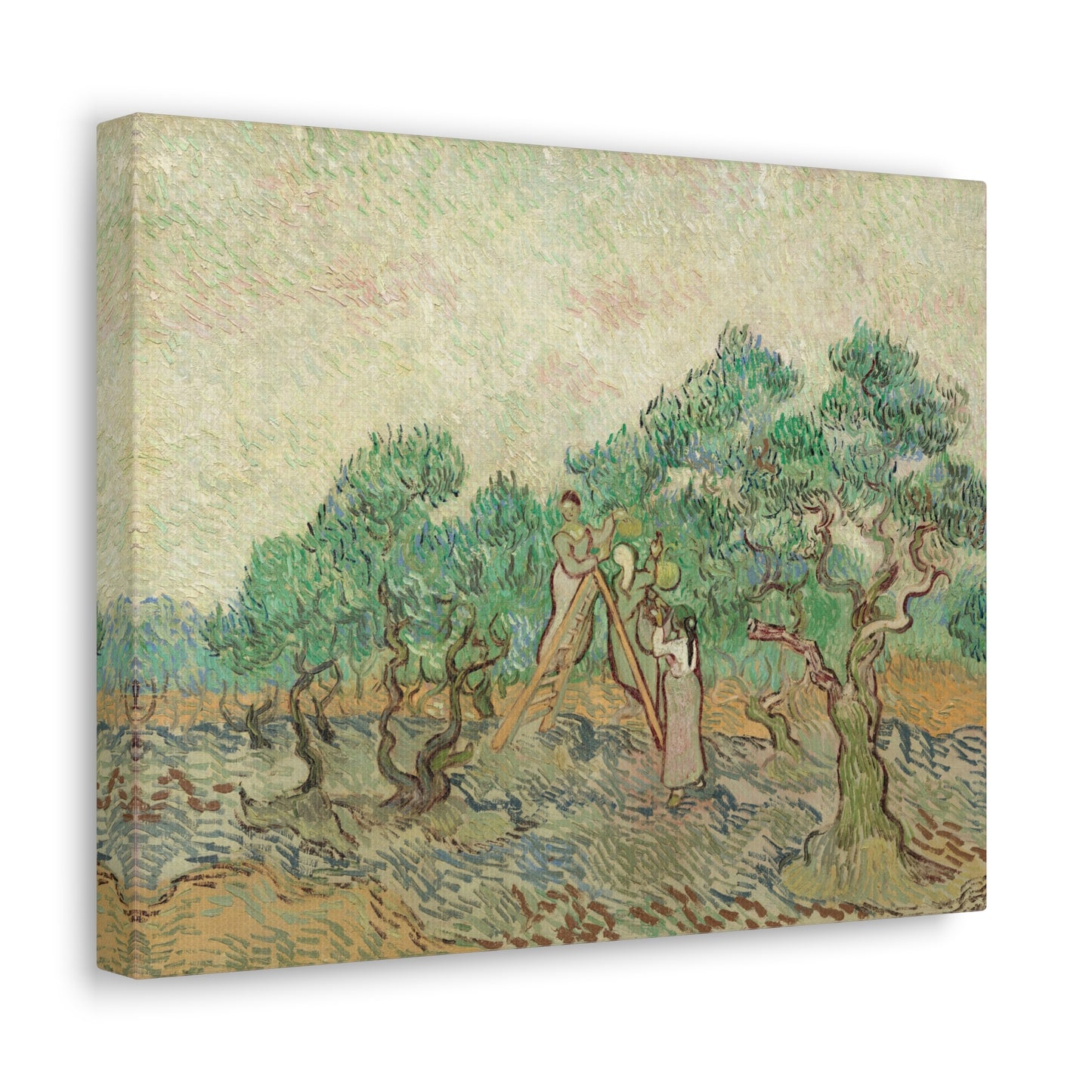 The Olive Orchard by Vincent van Gogh Canvas Print