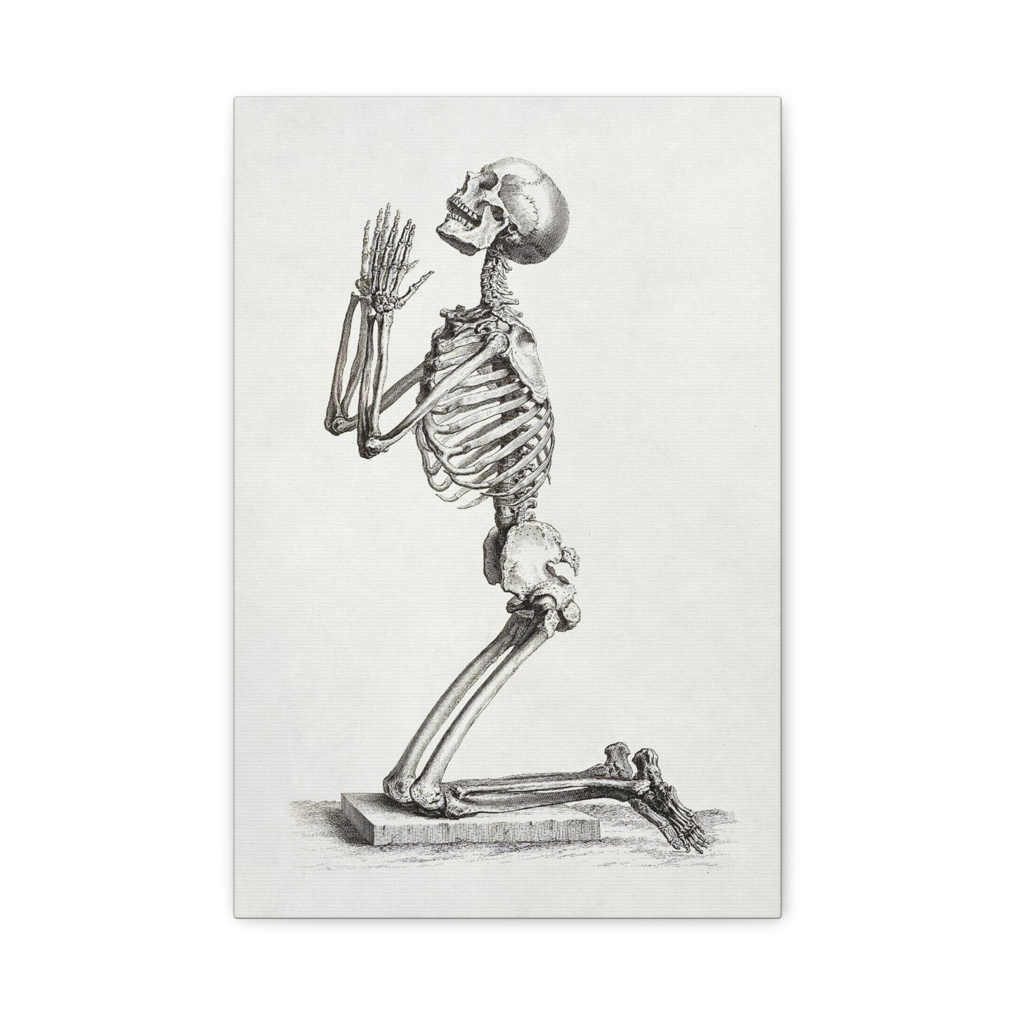 Praying Skeleton Canvas Wall Art
