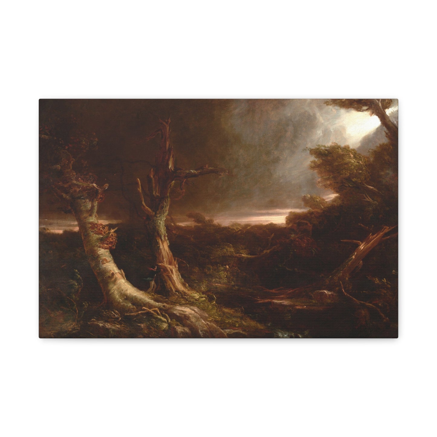 Tornado in an American Forest by Thomas Cole Canvas Print
