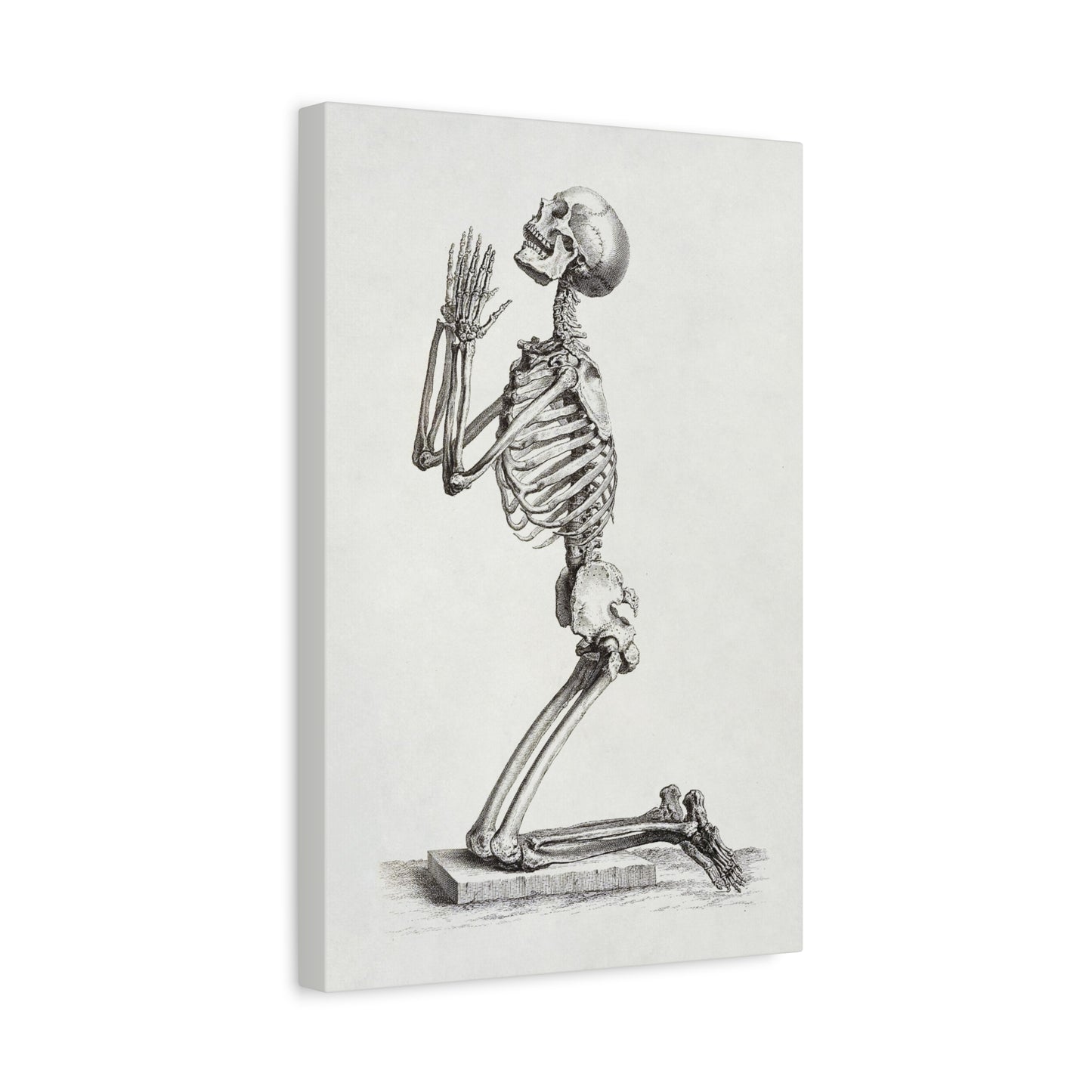 Praying Skeleton Canvas Wall Art