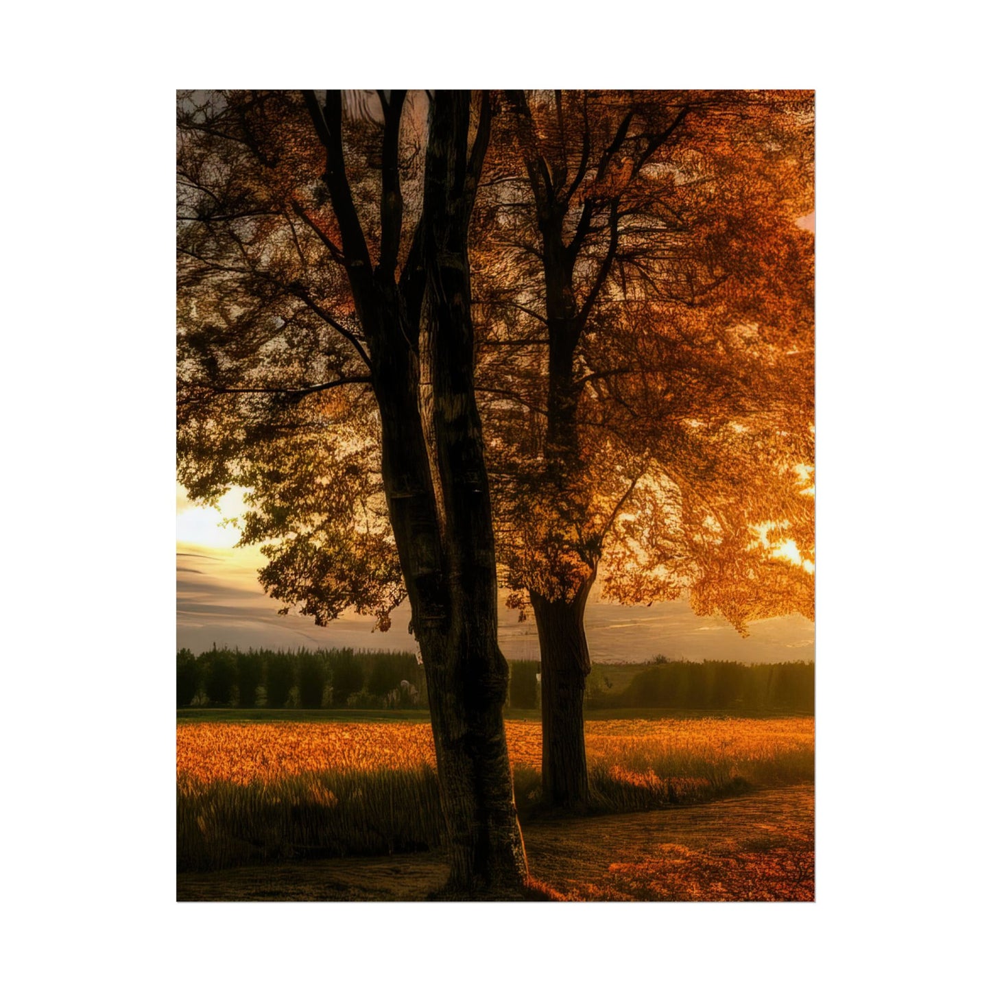 Autumn Trees Scenic Nature Art Print