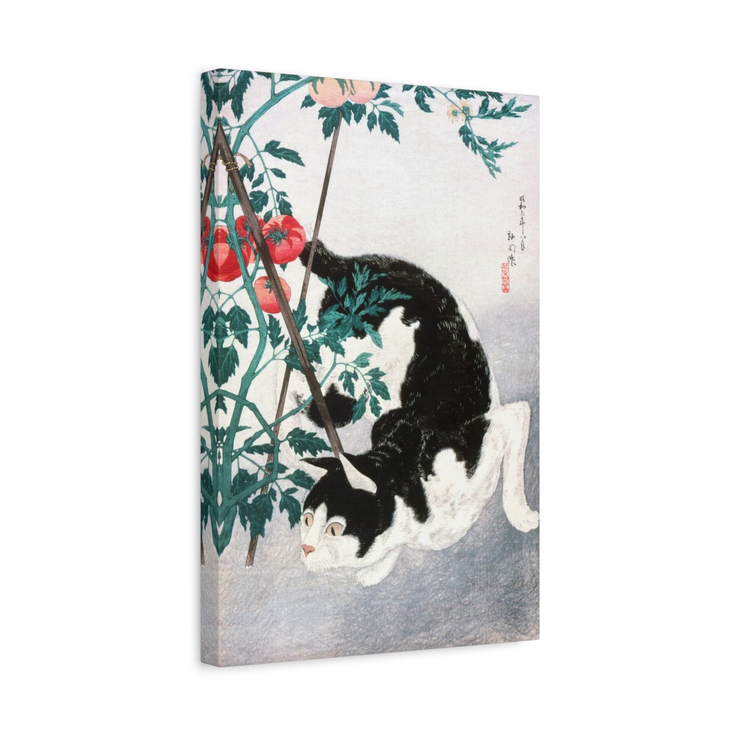 Cat with Tomato Plant by Hiroaki Takahashi Canvas Print