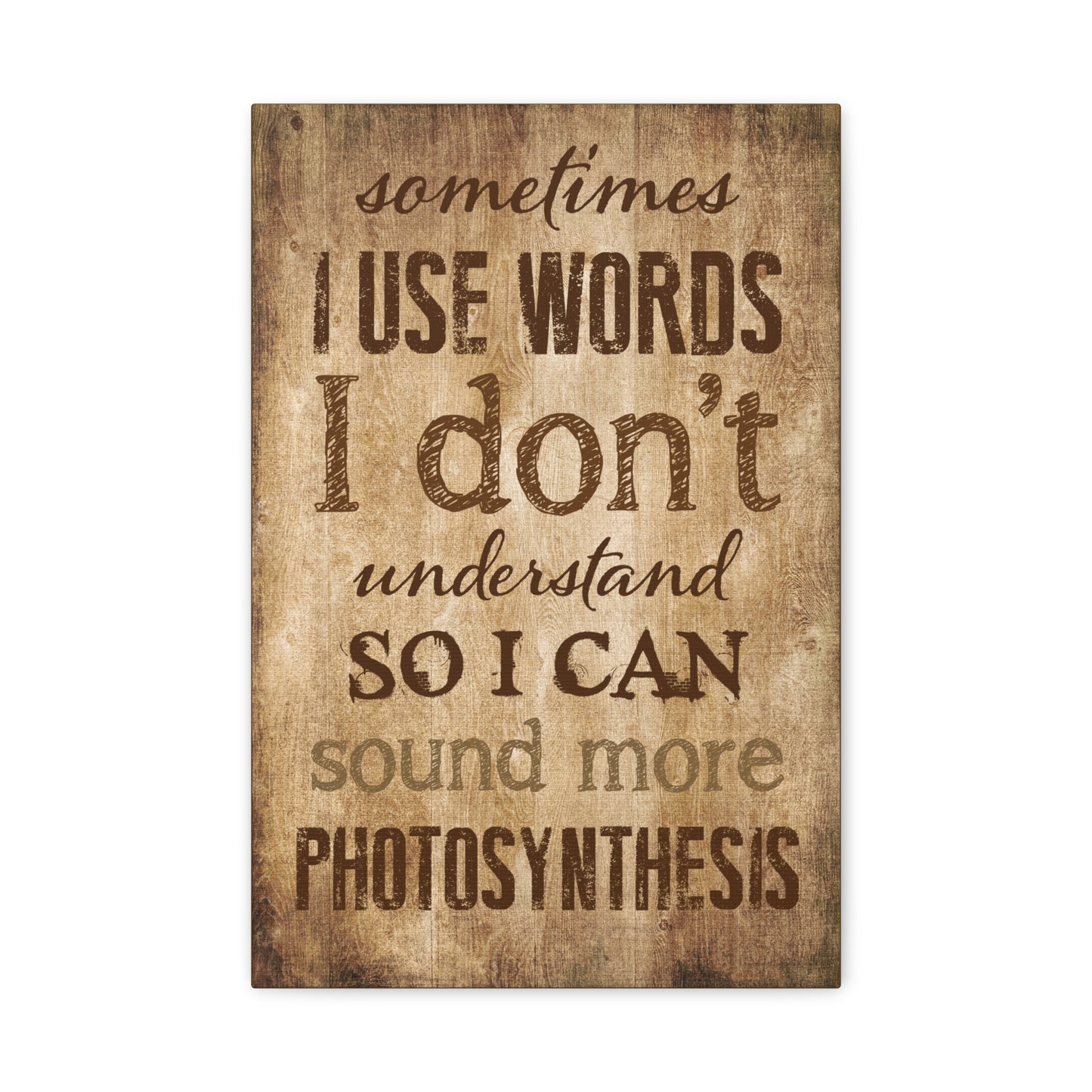 Sometimes I Use Words I Don't Understand Canvas Wall Art