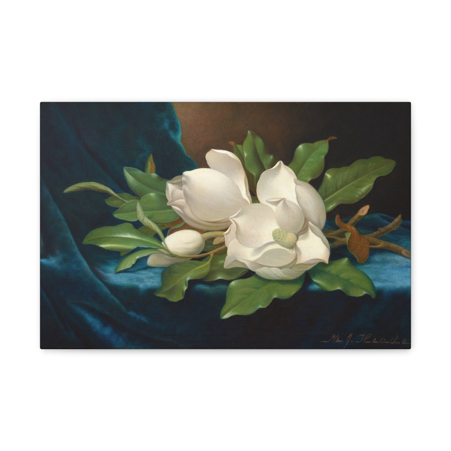 Giant Magnolias on a Blue Velvet Cloth by Martin Johnson Heade Canvas Print
