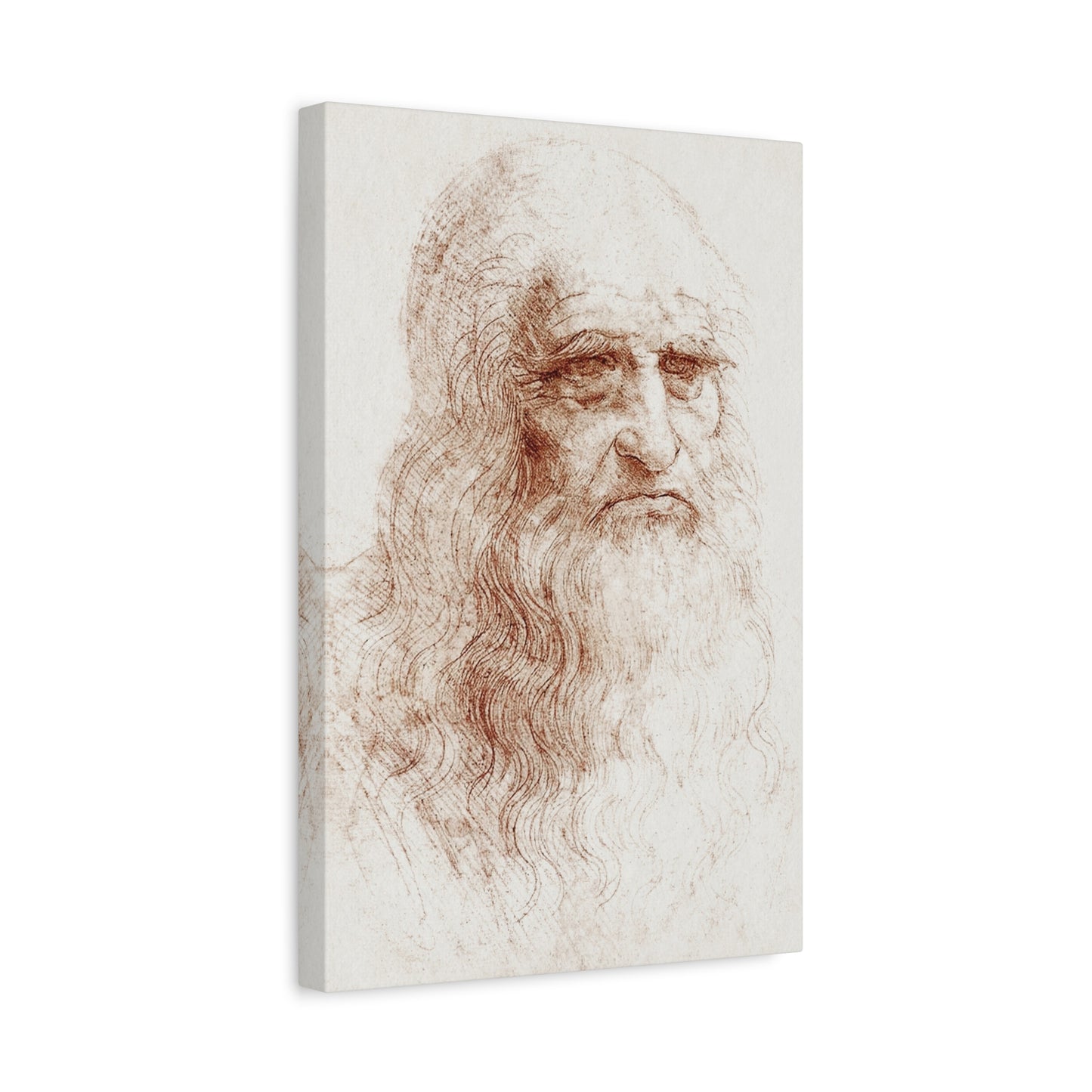 Self-portrait (1512) by Leonardo da Vinci Canvas Print