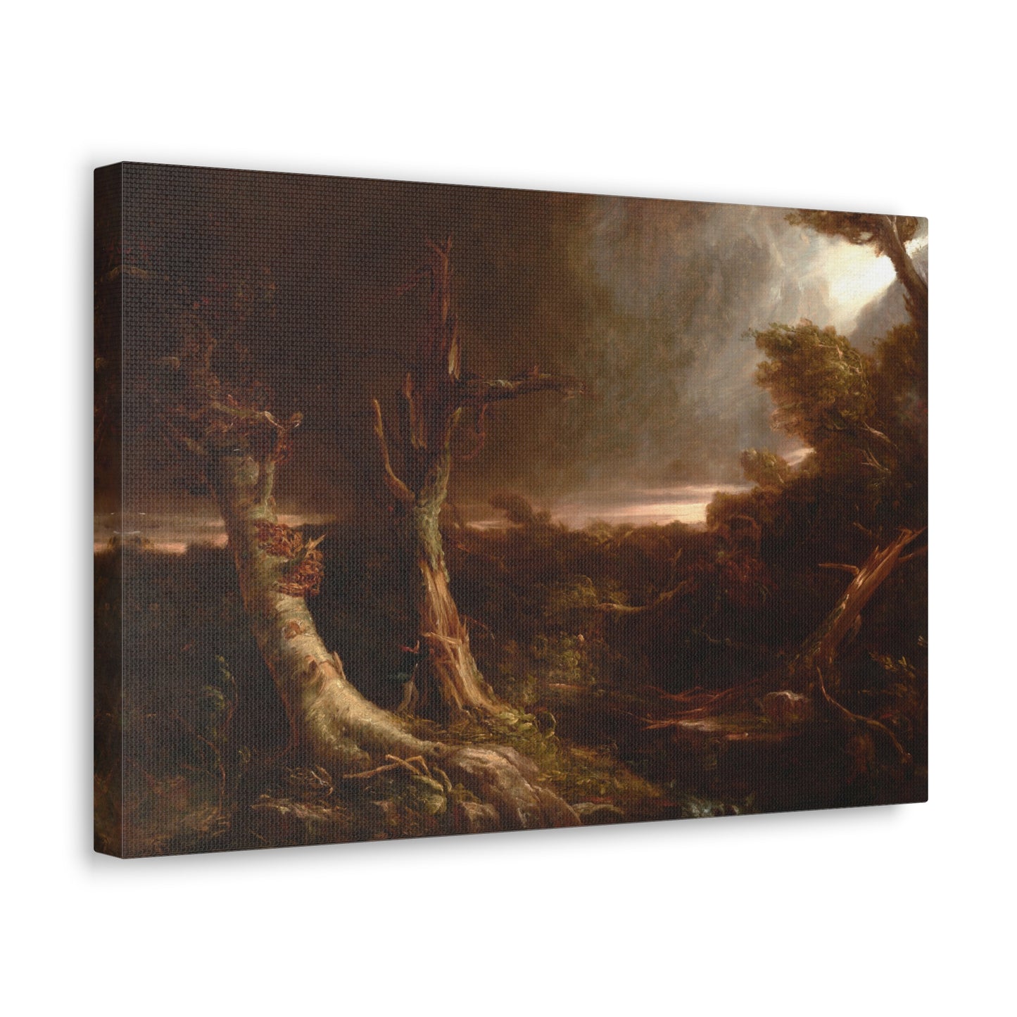 Tornado in an American Forest by Thomas Cole Canvas Print