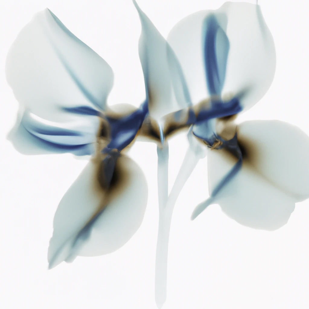 Translucent Blue Orchid Art Print