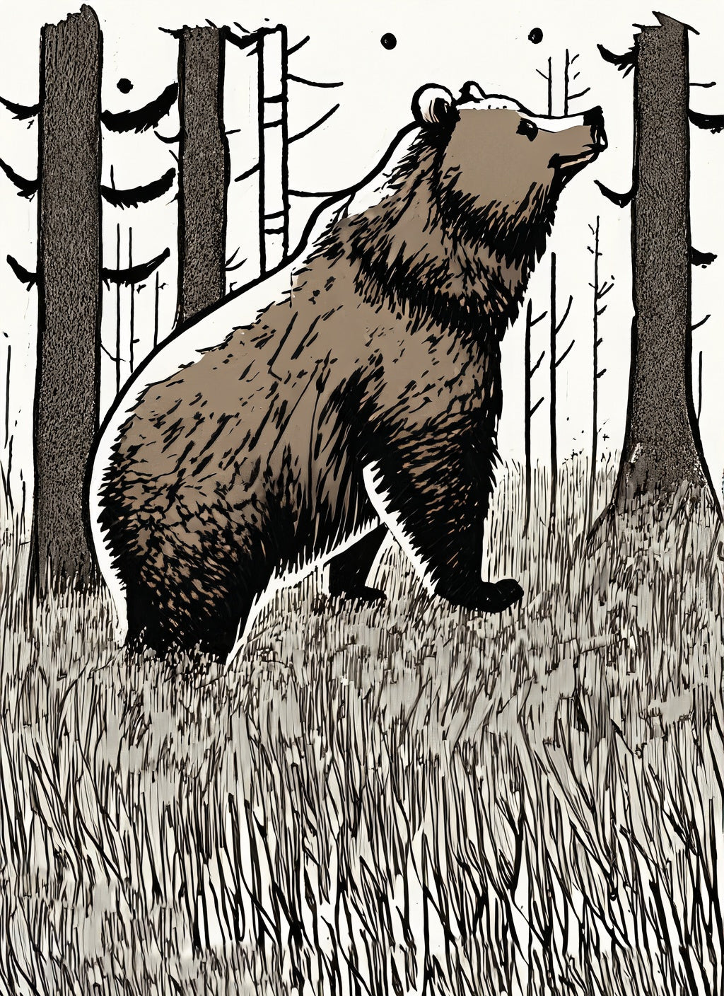 Bear in The Forest Pen and Ink Illustration Art Print