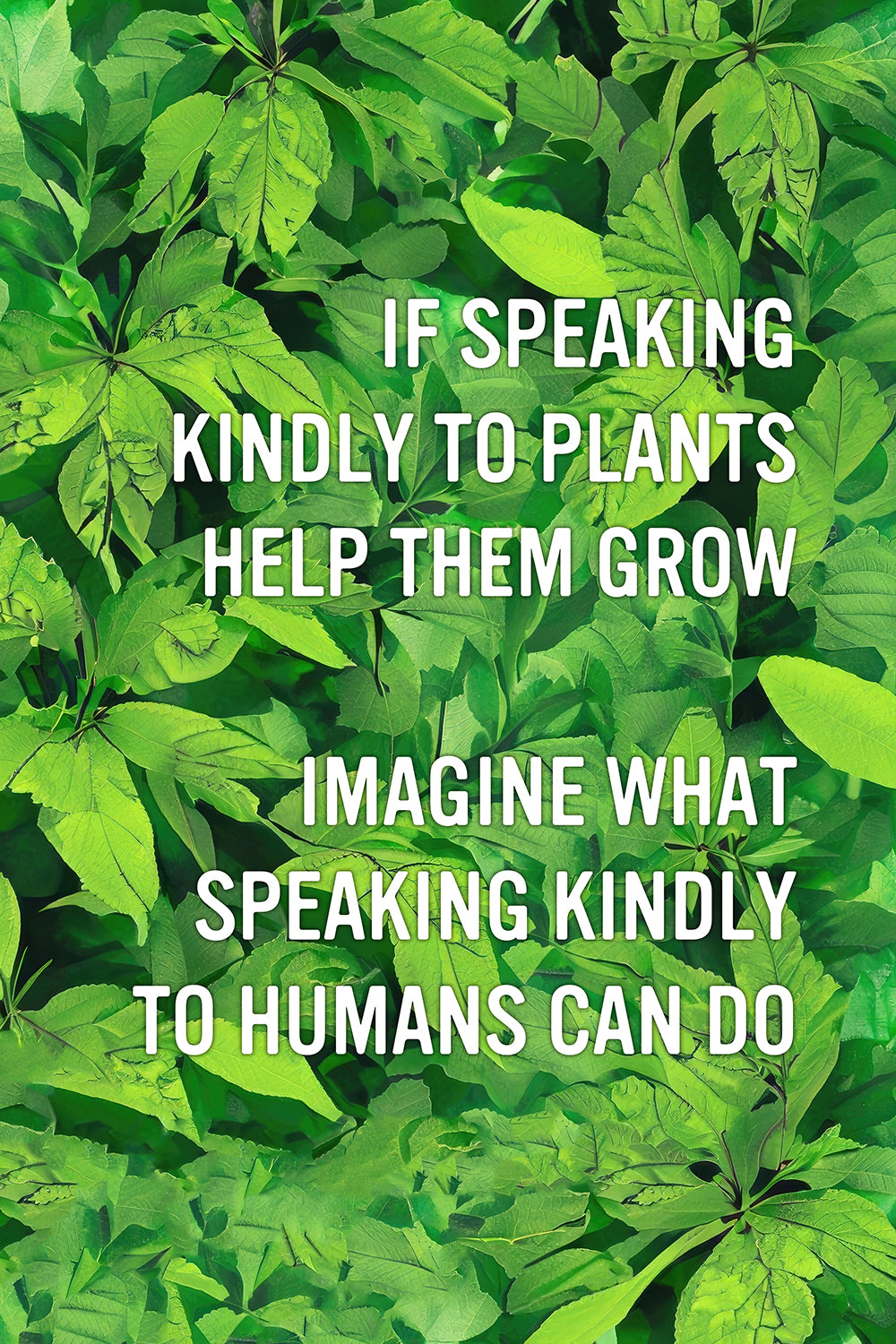 Speaking Kindly Positive Motivational Wall Art Print