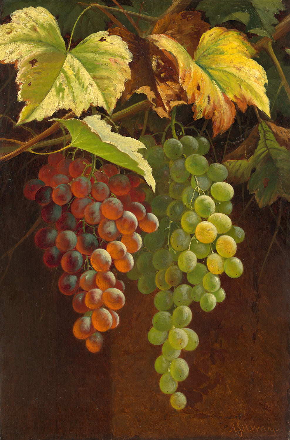 Two Bunches of Grapes by Andrew John Henry Way Art Print