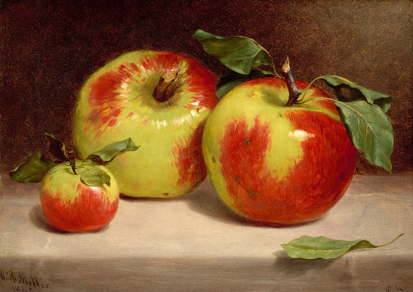 Study of Apples from Nature by William Rickarby Miller Art Print