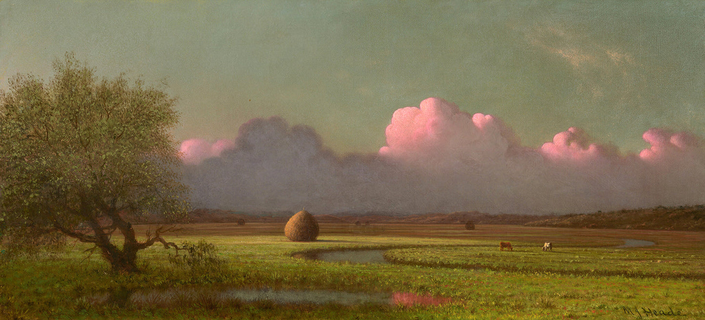Sunlight and Shadow: The Newbury Marshes by Martin Johnson Heade Art Print
