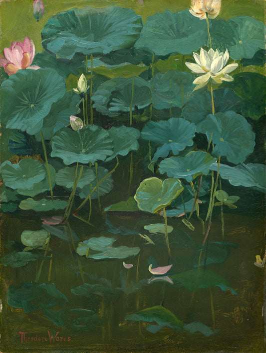 Buddha's Flowers: Lotus, Tokyo by Theodore Wores Art Print