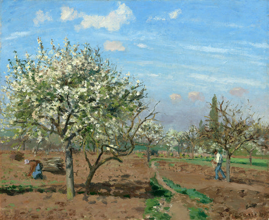 Orchard in Bloom, Louveciennes by Camille Pissarro Art Print