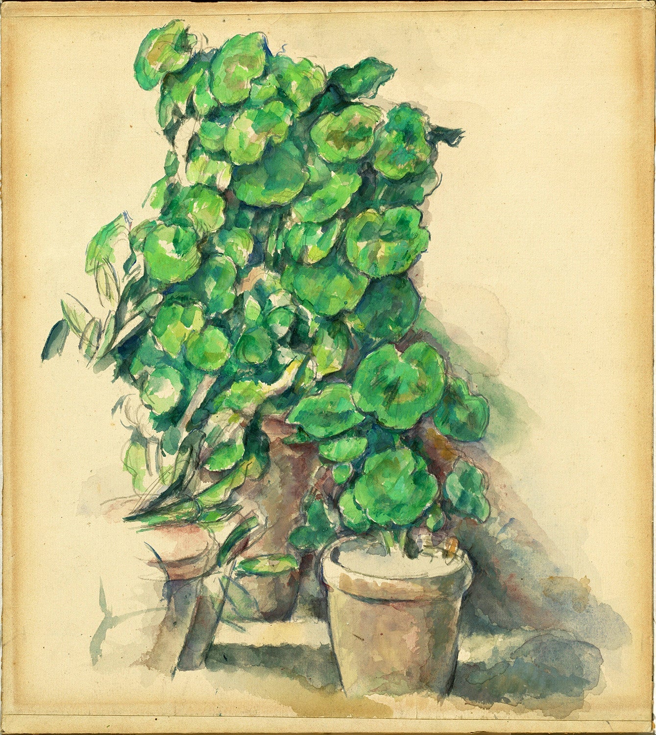 Geraniums by Paul Cezanne Art Print