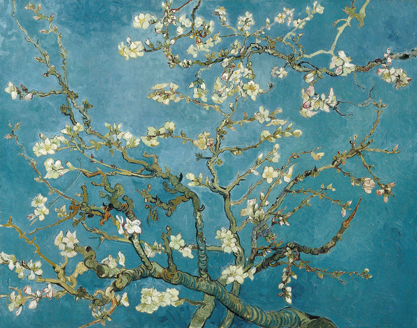 Almond Blossoms by Vincent van Gogh Art Print