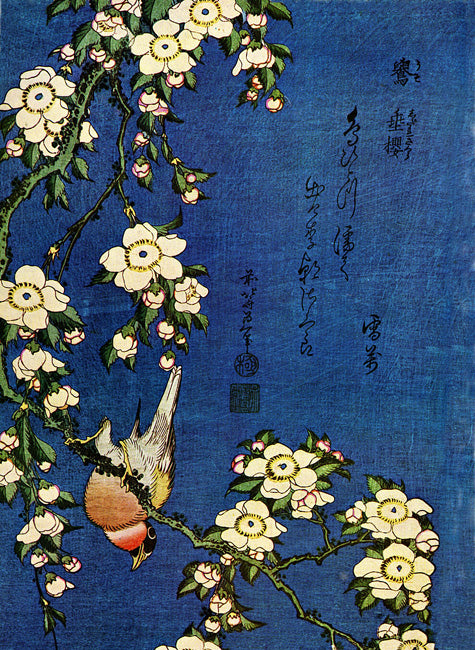 Bullfinch and weeping cherry print by Katsushika Hokusai