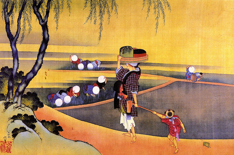 Rice Fields by Katsushika Hokusai, art print