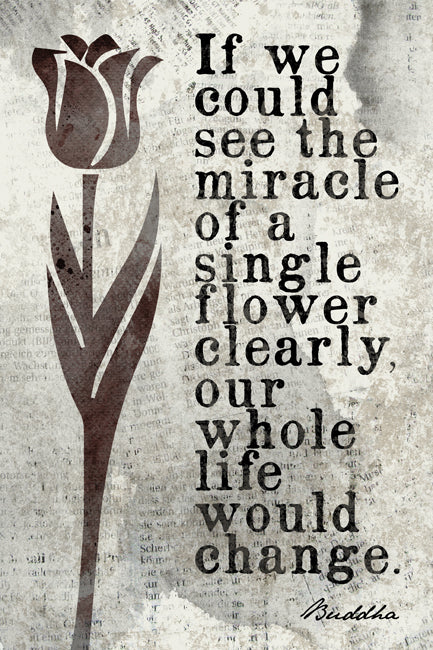 If We Could See The Miracle Of A Single Flower (Buddha Quote), mindfulness meditation poster print