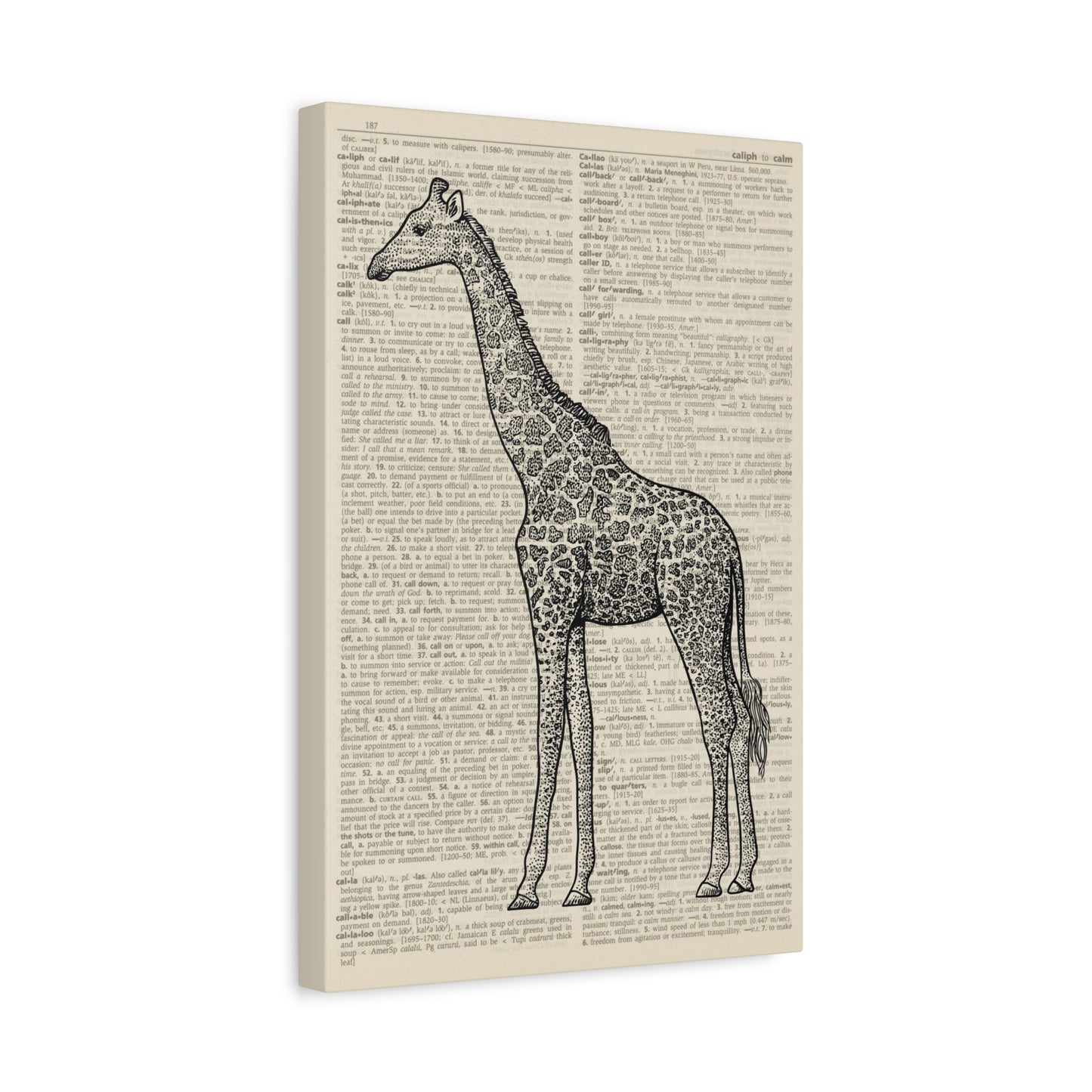 Giraffe Illustration (dictionary background) Canvas Print