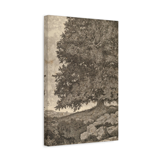 The Monarch by Ernest Haskell Canvas Print