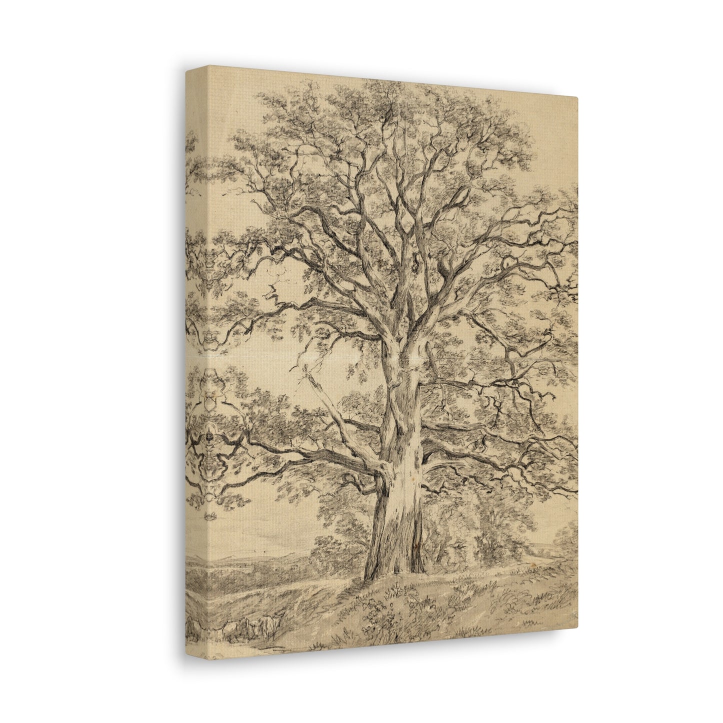 A Great Oak Tree by John Constable Canvas Print