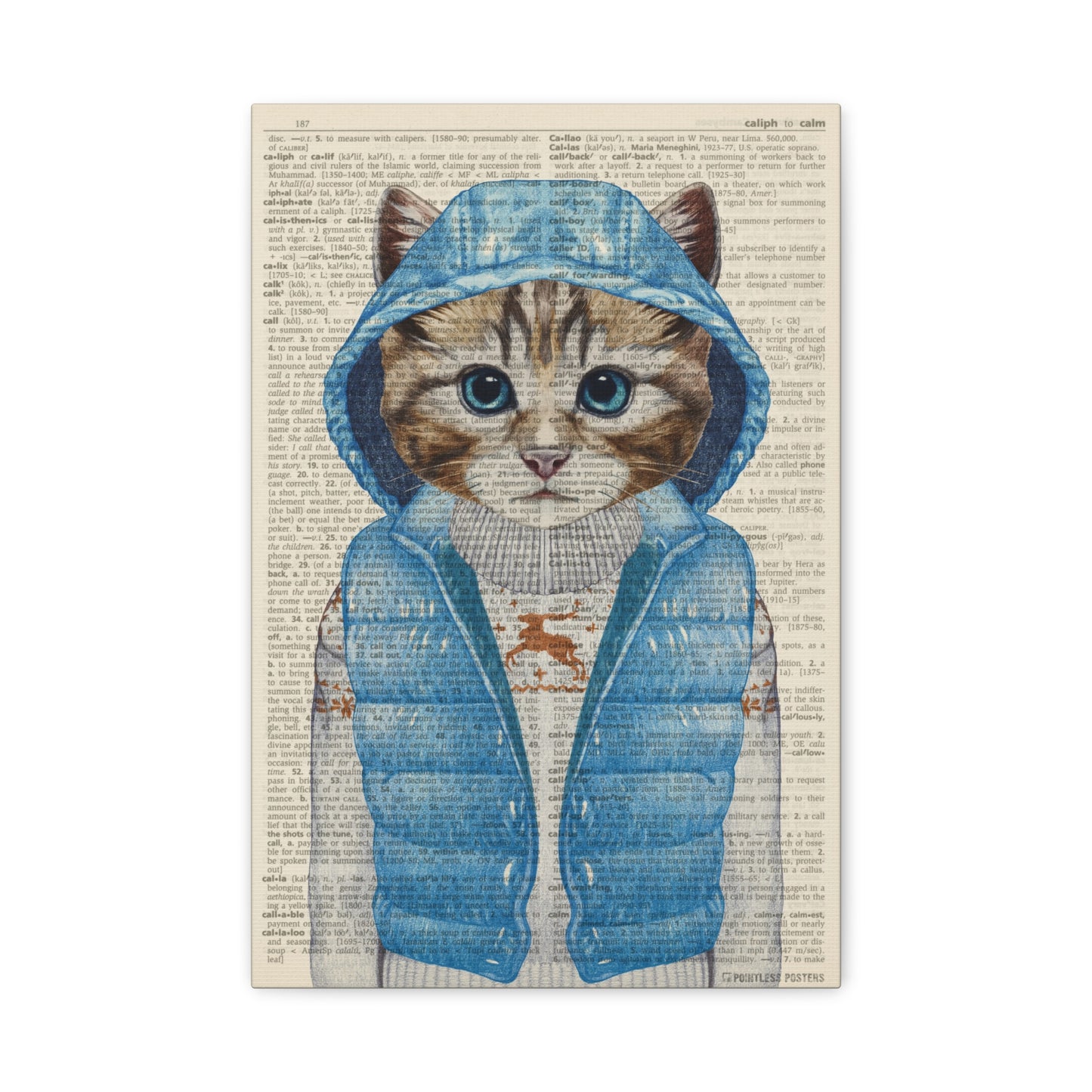 Cat In A Coat (dictionary background) Canvas Print
