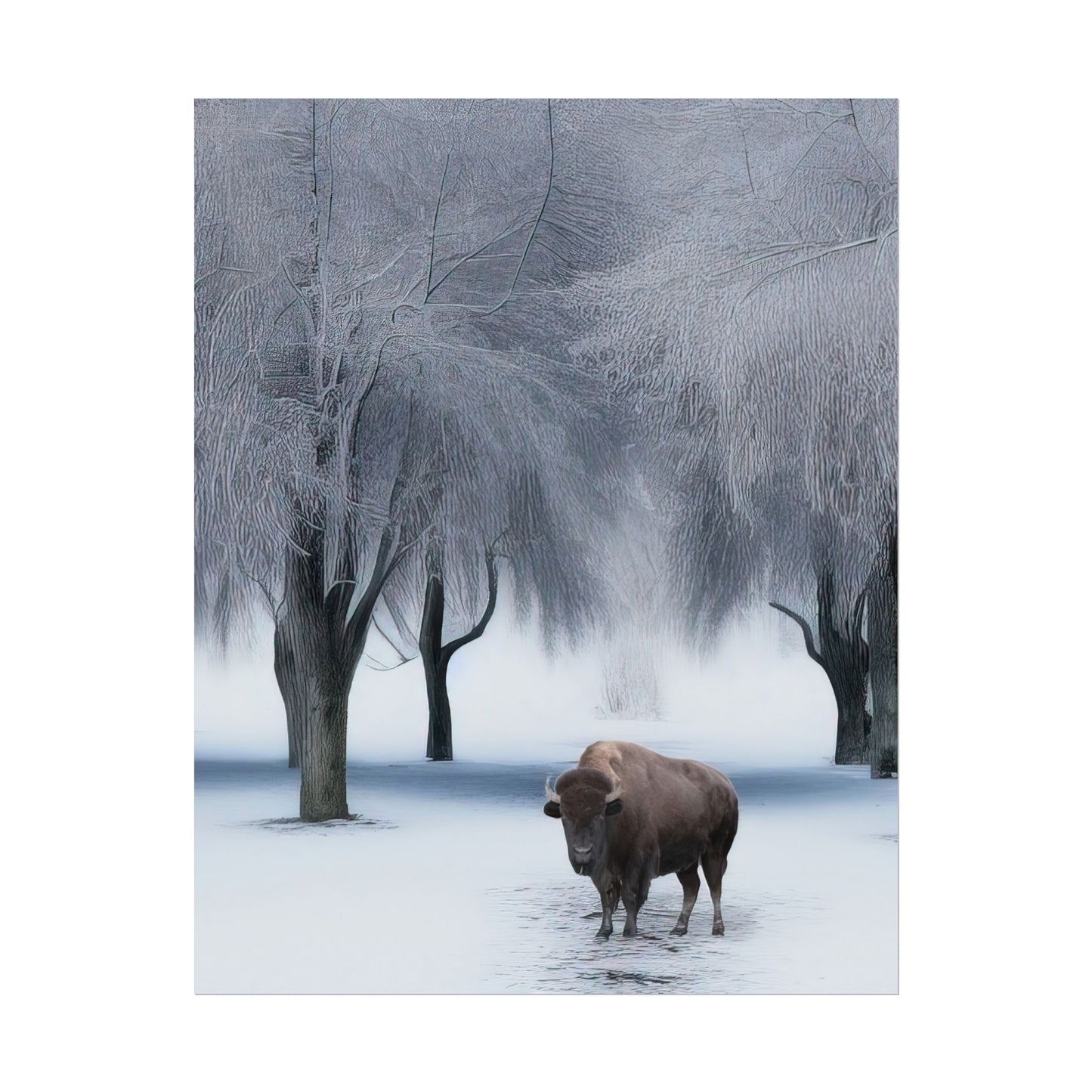Bison in the Snow with Trees Scenic Nature Art Print