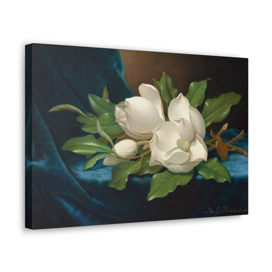 Giant Magnolias on a Blue Velvet Cloth by Martin Johnson Heade Canvas Print