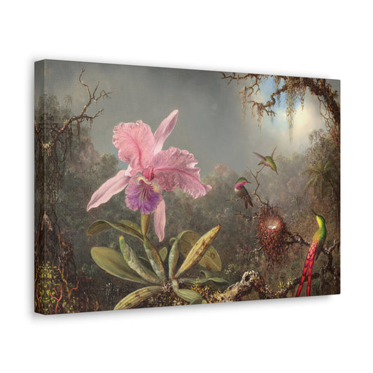 Cattleya Orchid and Three Hummingbirds by Martin Johnson Heade Canvas Print