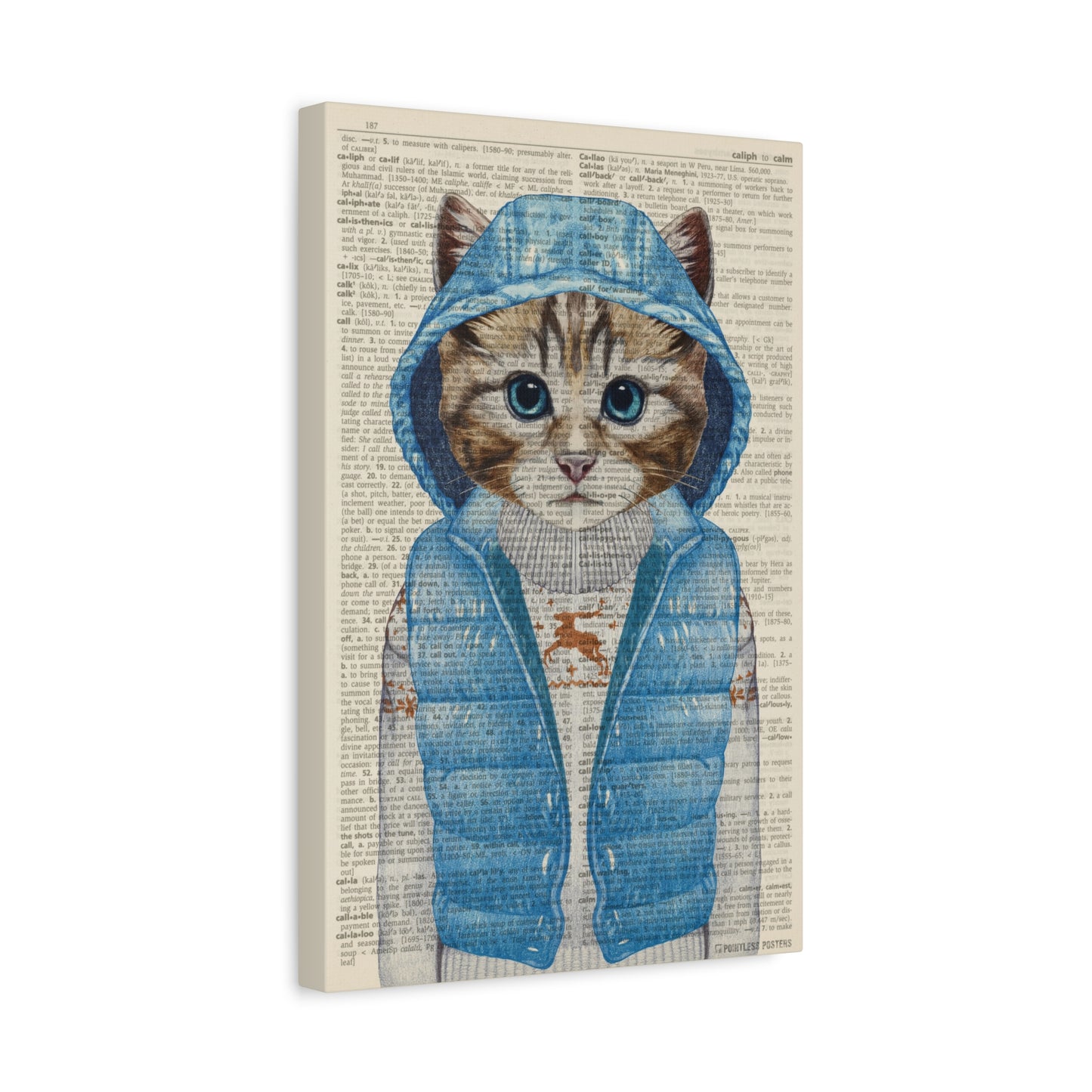 Cat In A Coat (dictionary background) Canvas Print