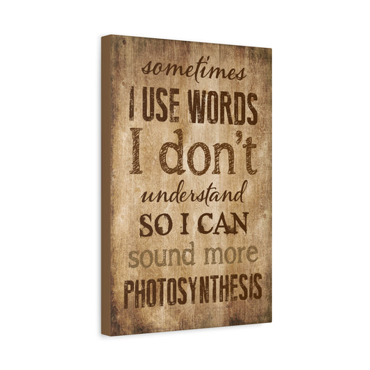 Sometimes I Use Words I Don't Understand Canvas Wall Art