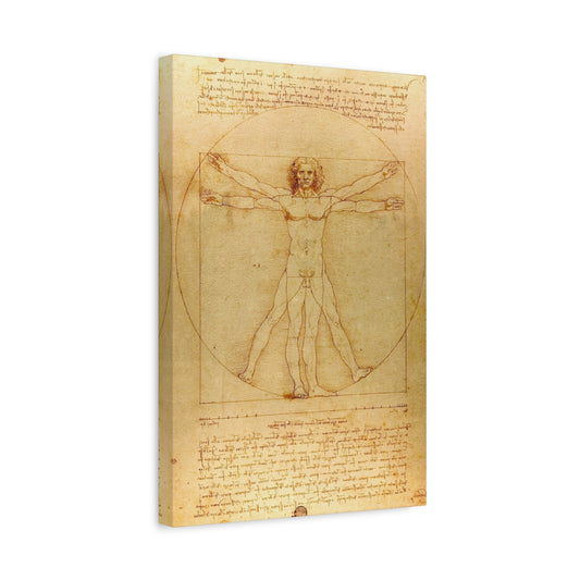 Vitruvian Man (circa 1492) by Leonardo da Vinci Canvas Print