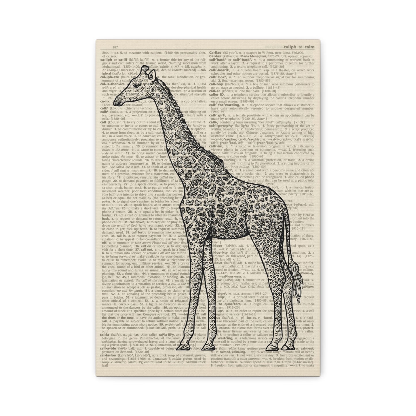 Giraffe Illustration (dictionary background) Canvas Print