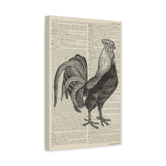 Chicken Illustration (dictionary background) Canvas Print