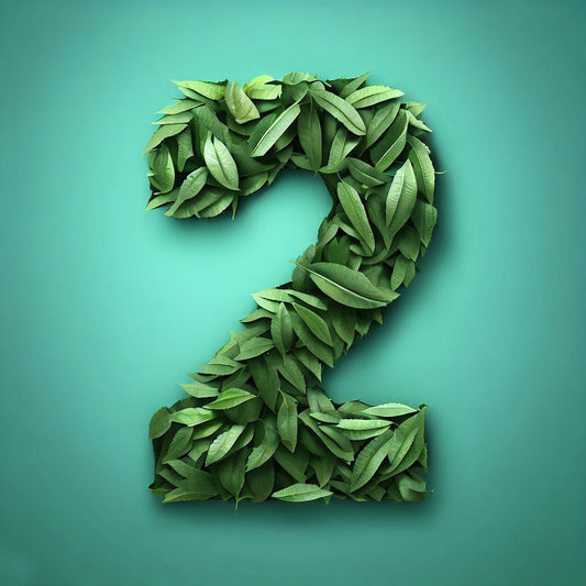 The Number Two Made of Leaves Art Print