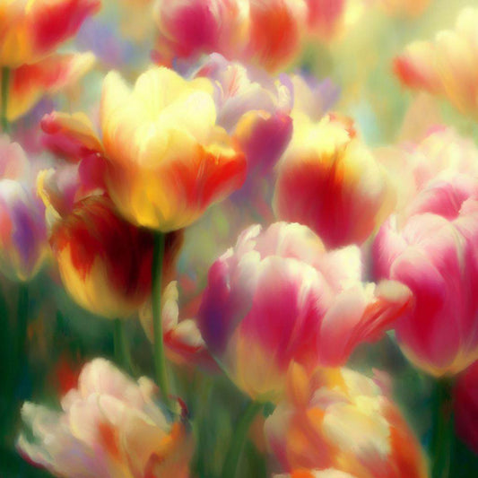 Close Up Tulips Painting II Art Print