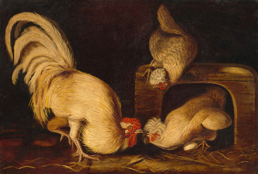 Farmyard Fowls by John James Audubon Art Print