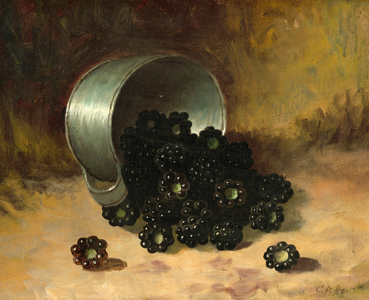 Blackberries Spilling from Tin Cup by Carducius Plantagenet Ream Art Print